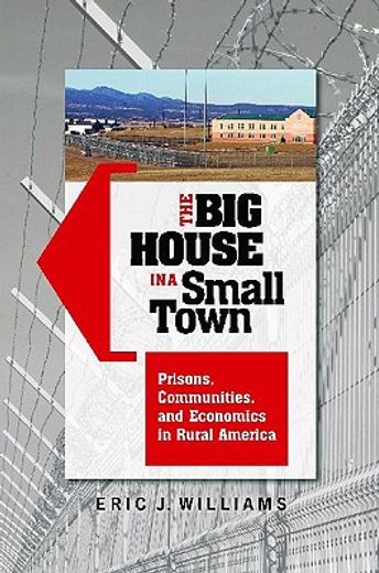 the big house in a small town,prisons, communities, and economics in rural america