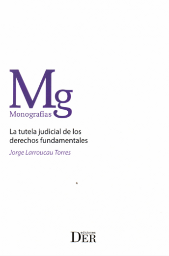 La tutela judicial de los derechos fundamentales (in Spanish)