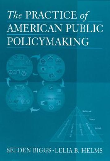 the practice of american public policymaking