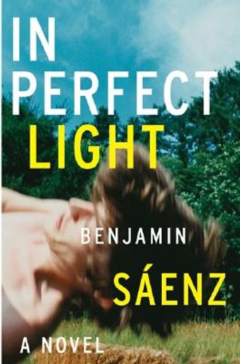 in perfect light,a novel
