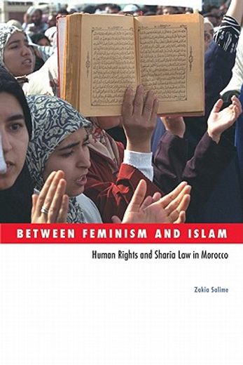 between feminism and islam,human rights and sharia law in morocco