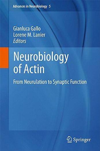 neurobiology of actin,from neurulation to synaptic function