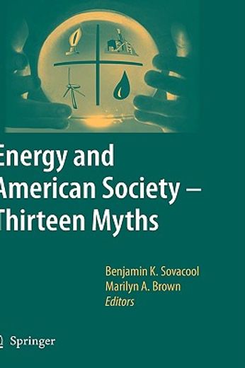 energy and american society,thirteen myths