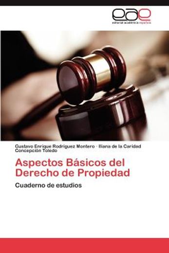aspectos b sicos del derecho de propiedad (in Spanish)
