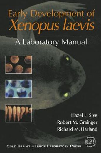 early development of xenopus laevis