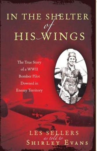 in the shelter of his wings: the true story of a wwii bomber pilot downed in enemy territory