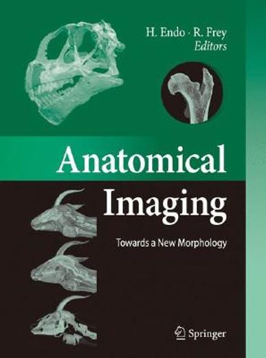 anatomical imaging,towards a new morphology