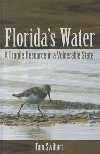 Florida's Water: A Fragile Resource in a Vulnerable State (en Inglés)