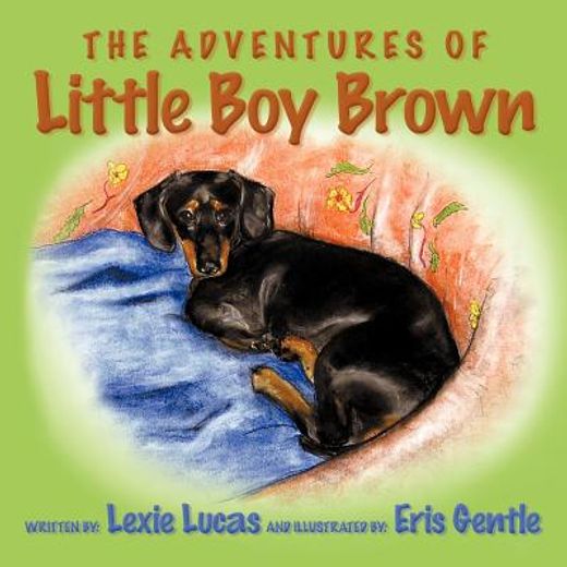 the adventures of little boy brown