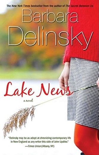 lake news,a novel (en Inglés)