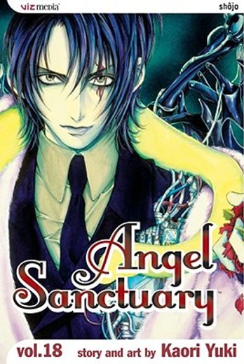 Angel Sanctuary, Vol. 18 (in English)
