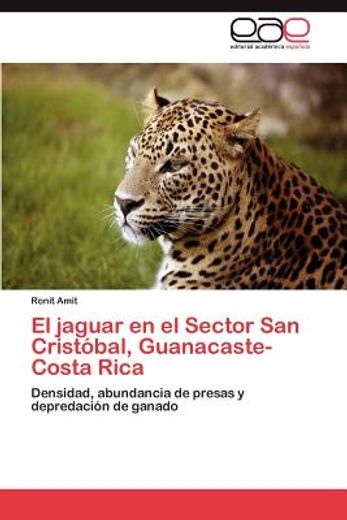 el jaguar en el sector san crist bal, guanacaste-costa rica