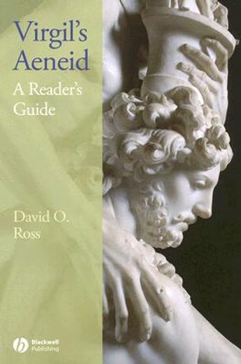 virgil´s aeneid,a reader´s guide