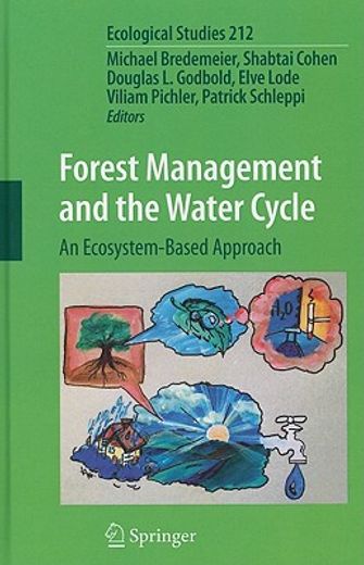 forest management and the water cycle