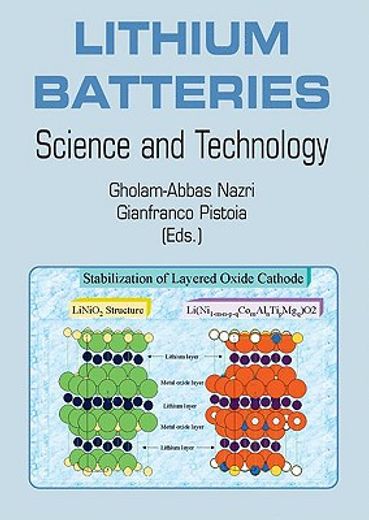 lithium batteries,science and technology