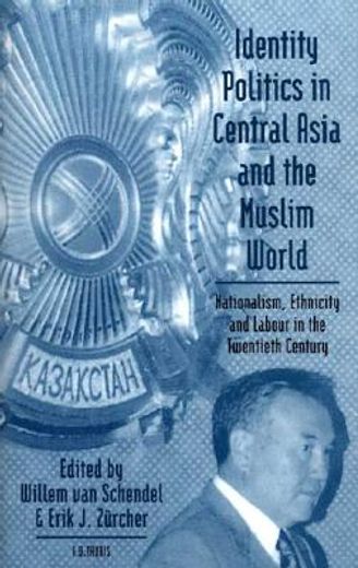 identity politics in central asia and the muslim world,nationalism, ethnicity and labour in the twentieth century