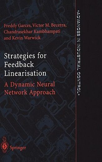 Strategies for Feedback Linearisation: A Dynamic Neural Network Approach 