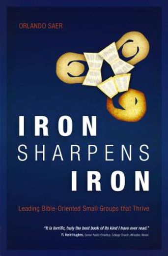 iron sharpens iron,leading bible-oriented small groups that thrive