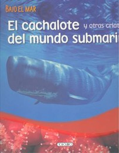 cachalote y otras criaturas del mundo submarino,el