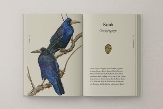 The Book of Birds: A Field Guide to Wonder and Loss