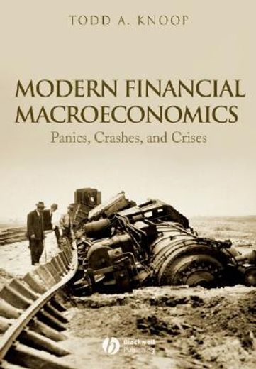 modern financial macroeconomics,panics, crashes, and crises