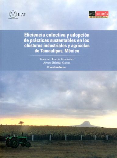 Eficiencia Colectiva y Adopción de Prácticas Sustentables en los Clústeres Industriales y Agrícolas de Tamaulipas, México