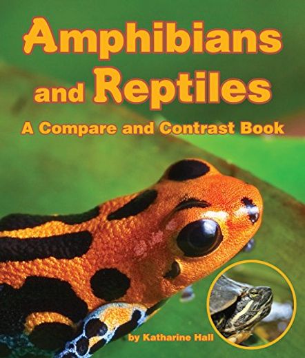 Amphibians and Reptiles: A Compare and Contrast Book (en Inglés)