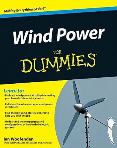 wind power your home for dummies