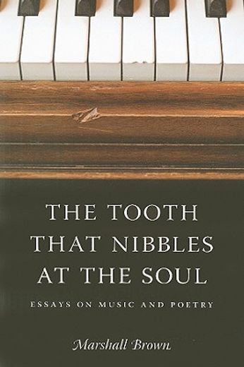 the tooth that nibbles at the soul,essays on music and poetry
