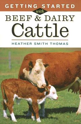 getting started with beef & dairy cattle
