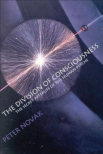 the division of consciousness,the secret afterlife of the human psyche
