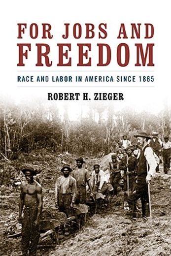for jobs and freedom,race and labor in america since 1865