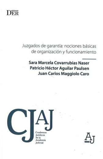 Juzgados de Garantía: organización, funcionamiento y principales procedimientos (in Spanish)