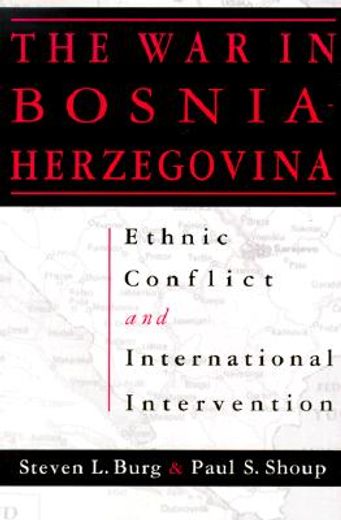 the war in bosnia-herzegovina,ethnic conflict and international intervention