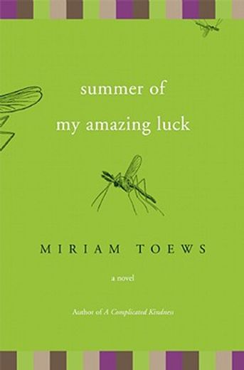 summer of my amazing luck,a novel