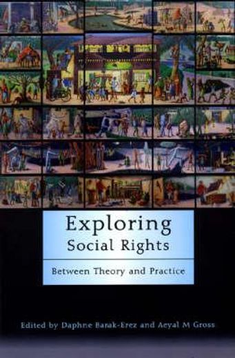 exploring social rights,between theory and practice