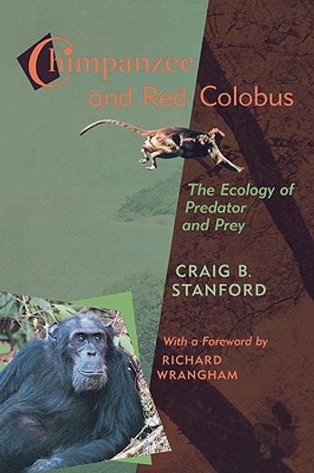 chimpanzee and red colobus,the ecology of predator and prey