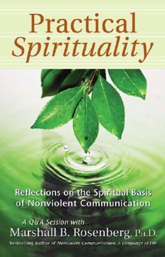 practical spirituality,reflections on the spiritual basis of nonviolent communication (en Inglés)