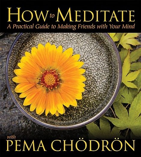 how to meditate with pema chodron,a practical guide to making friends with your mind