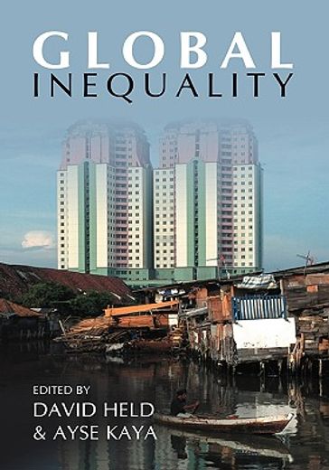 global inequality,patterns and explanations