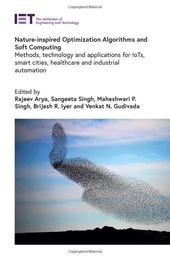 Nature-Inspired Optimization Algorithms and Soft Computing: Methods, Technology and Applications for Iots, Smart Cities, Healthcare and Industrial Automation (Computing and Networks) (en Inglés)