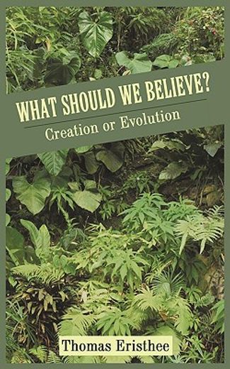 what should we believe?,creation or evolution