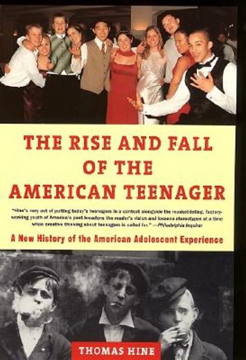 the rise and fall of the american teenager (en Inglés)