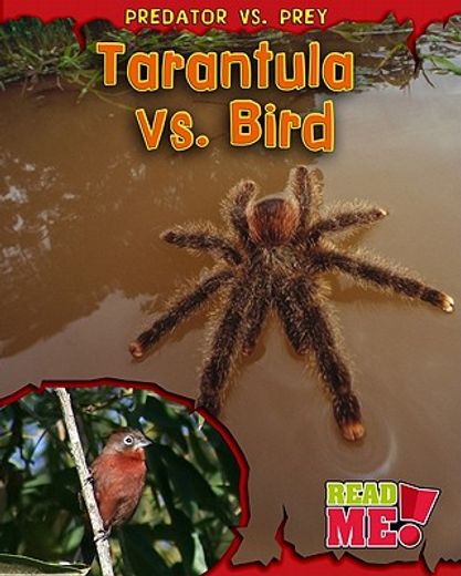 tarantula vs. bird