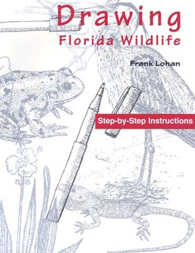 drawing florida wildlife,step-by-step instructions