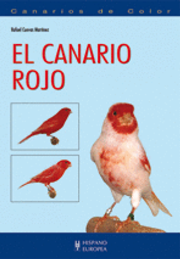 El Canario Rojo (Canarios de Color)