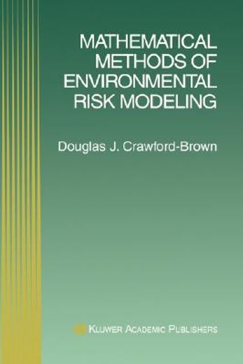 mathematical methods of environmental risk modeling (en Inglés)