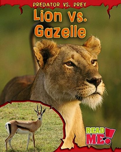 lion vs. gazelle