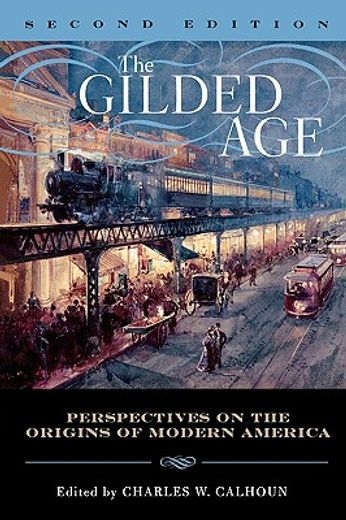 the gilded age,perspectives on the origins of modern america