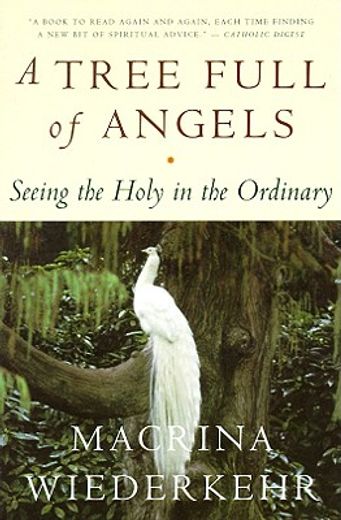 a tree full of angels,seeing the holy in the ordinary (in English)
